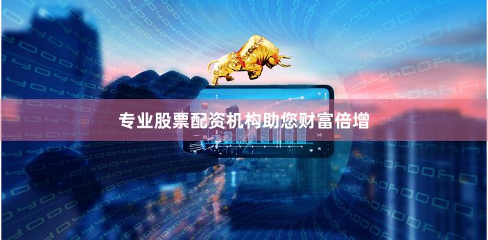 专业股票配资机构助您财富倍增